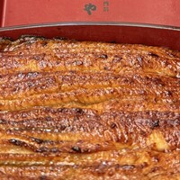 入谷鬼子母神門前のだや - 