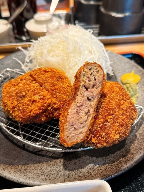 Gyukatsu Kyoto Katsugyu Nagoya Fushimi