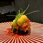 北新地 寿司馬光 - 