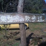 花の果樹園 - 