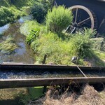 忍野八海池本 - 