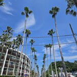 マリブファーム  - 