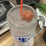 焼鳥 もつ鍋 だるま - 