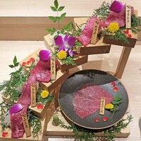 焼肉割烹 YP流 宗右衛門町本店 - 