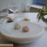 メゾン フジヤ ハコダテ - 