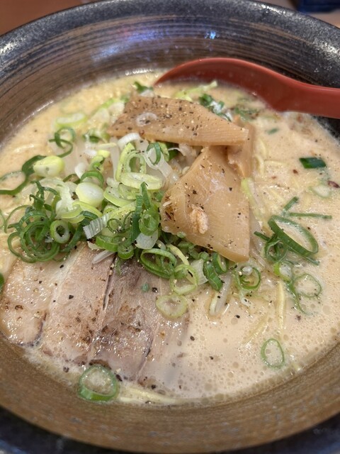 Taiwanese Maze-soba Taiwan Ramen Kun