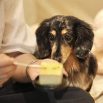 Regina Resort Kyukaruizawa - Birthday Cake