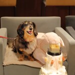 Regina Resort Kyukaruizawa - Birthday Cake