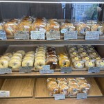 베이글노 미세 모구