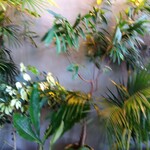 CICON by NOHGA HOTEL - 