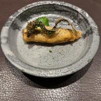 イル アオヤマ - 