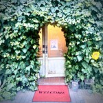 ラフレッサ - 成長し続けるツタの中にほんのりと入口アリ