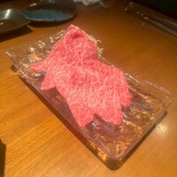 生粋 - 