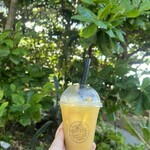 PAINAGAMA BLUEBOOTH - 