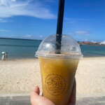 PAINAGAMA BLUEBOOTH - 