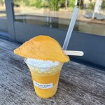 TORIKO FARM MIYAKOJIMA - 