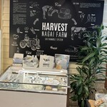 ハーベスト ナガイファーム - 