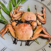 飴源 - 