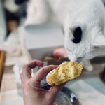 ダヴィデドーナツ - 