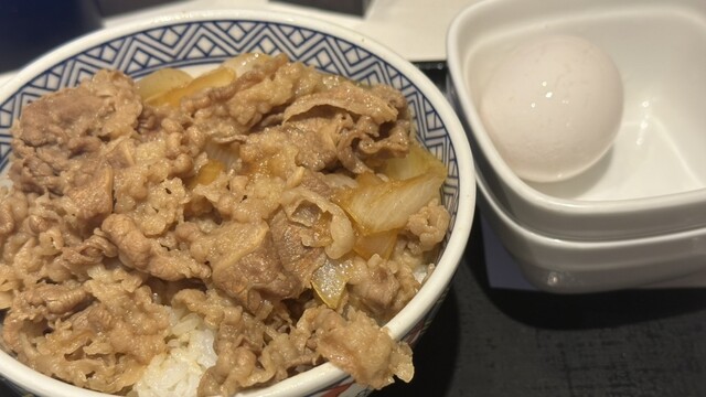 Yoshinoya Akihabara Ten