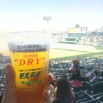 阪神甲子園球場 - 