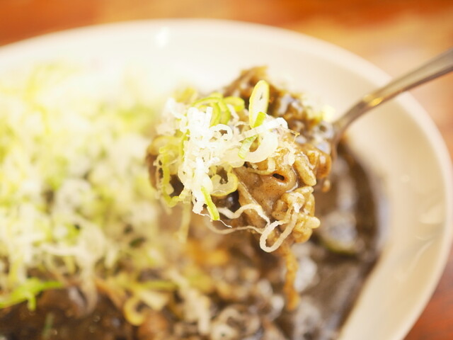 Semba Curry Minamikyuhoji Ten photo 3