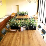 チーズと生はちみつの専門店 BeNe - 【小上がり席】広々と大きなテーブルの小上がり席。靴をぬいで、ゆったりご利用いただけます。