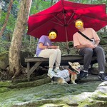 小太郎茶屋 - 席の様子　このような席が川辺に点在しています。