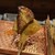 串かつ あーぼん - 料理写真: