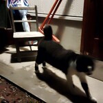 あべくん珈琲 - 