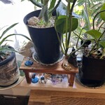 トイトイ - 内観