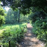 チャロチャロ!チャイブレイク - さすが井の頭公園、蚊が少ない(たぶん気のせい)