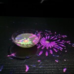 EN TEA HOUSE 幻花亭 チームラボボーダレス麻布台ヒルズ - 