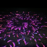 EN TEA HOUSE 幻花亭 チームラボボーダレス麻布台ヒルズ - 