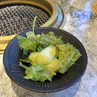 肉の匠 将泰庵  船橋本店 - サラダ