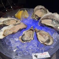 MAIMON GINZA - 