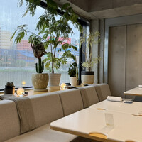 TRATTORIA KIKUYA - 