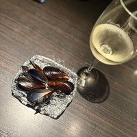 MAIMON GINZA - 