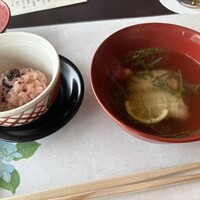 山茶花 - 