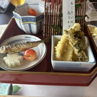 山茶花 - 
