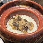 アカミヤコウシ - 