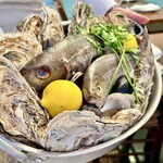 トラットリア・築地パラディーゾ - 