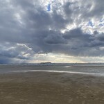 日本料理 きのした - 