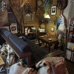 日方珈琲焙煎所 by CAFE SQUARE - ソファ席❗️