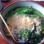 さぬき - たぬきうどん　携帯写真なのでちょっとすいませー