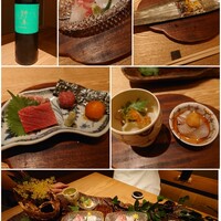 弧柳 - 
