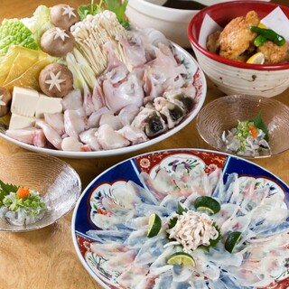 ＜冬の味覚＞とらふぐてっちりコースを堪能してください！