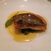 ル・ブション - まとう鯛のグリル、トマト水のソース