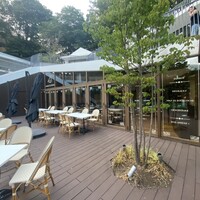 Loiseau de France - 