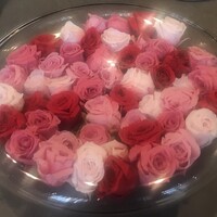 セリュー - 